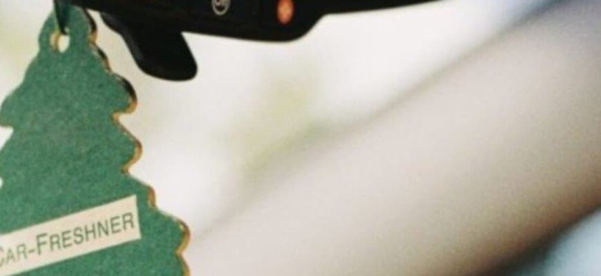 Ароматерапия или ароматизатор в машину в прикуриватель – что и к чему 4 ароматизатор воздуха в машину